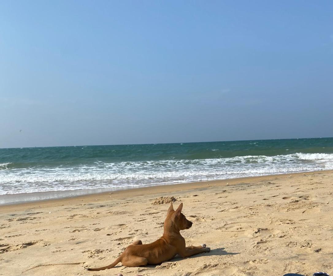 Sea Sand Resort Калпития Экстерьер фото