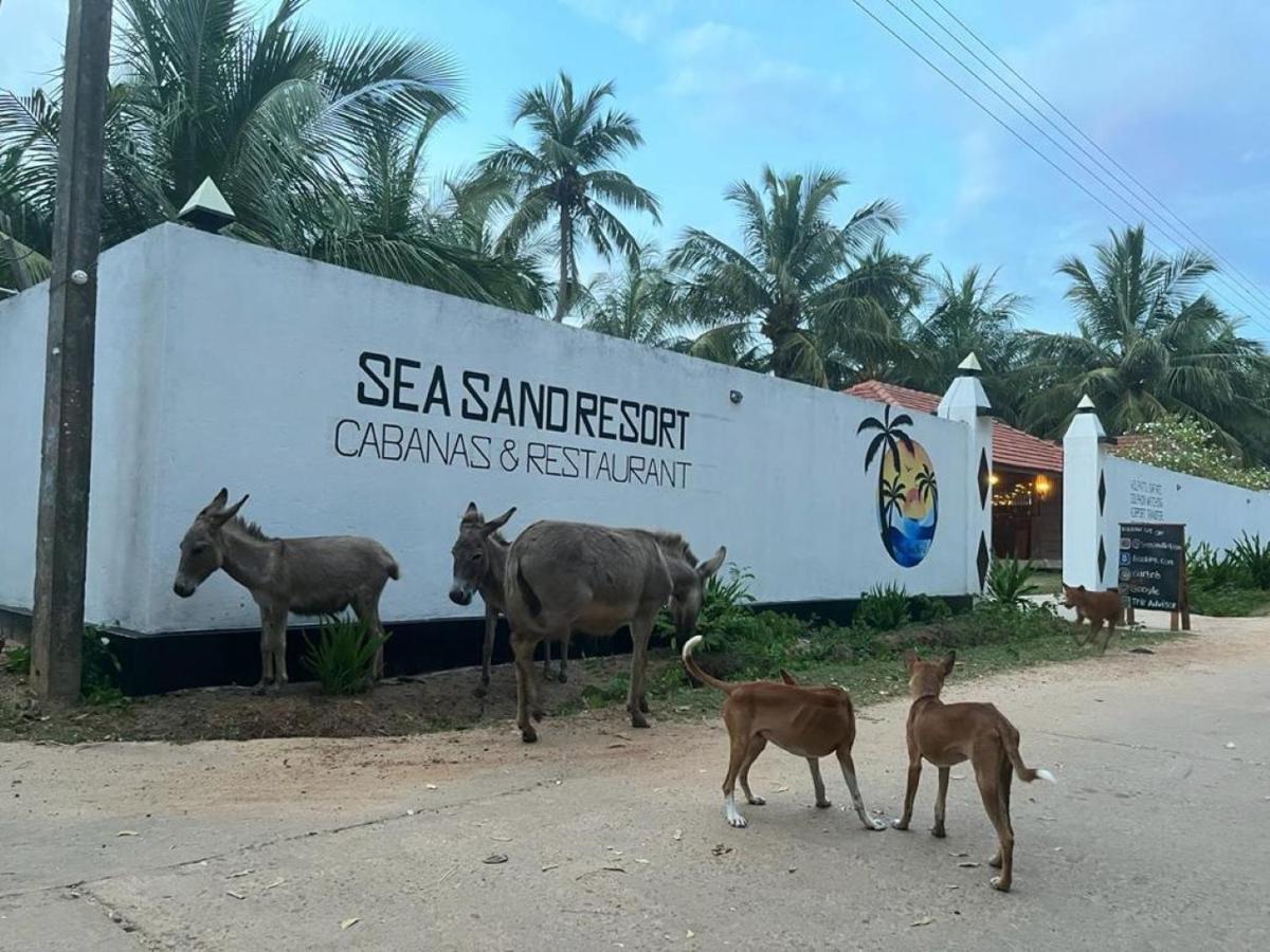 Sea Sand Resort Калпития Экстерьер фото