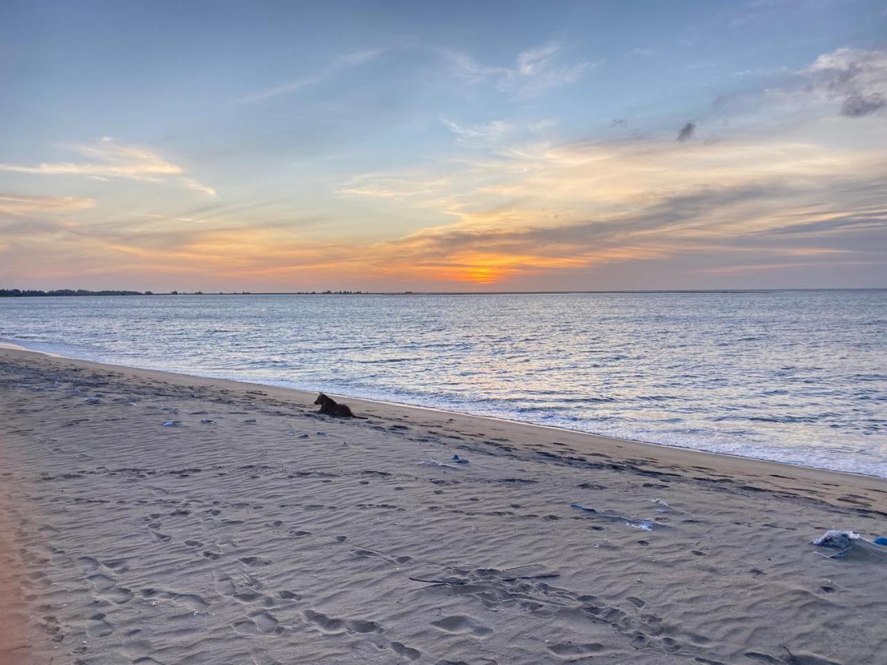 Sea Sand Resort Калпития Экстерьер фото